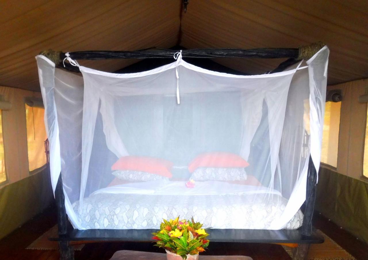 Shimba Hills Green Safari Lodge Kwale Εξωτερικό φωτογραφία